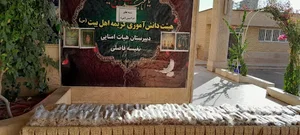 مدرسه دخترانه نفیسه فاضلی