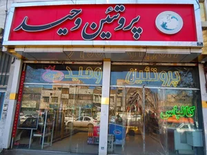 پروتئین وحید