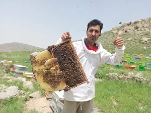 بهمن کارنیکا (فروش ملکه کارنیکا بهمن)