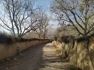 کوچه باغ های قصرالدشت