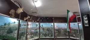 موزه حیات وحش شاهرود