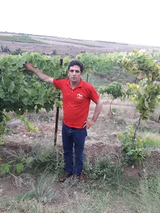 Soroush Veterinary Medicine
