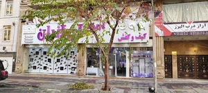 کیف و کفش اریکه ایرانیان