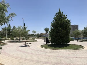 بوستان صنوبر