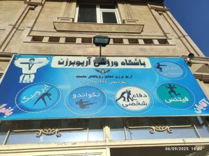 باشگاه ورزشی آریو برزن