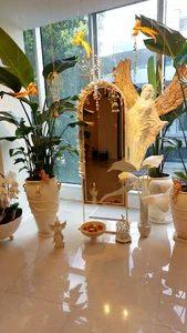 آکادمی مژه ساراد