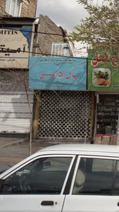 پارادایس
