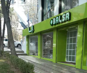 بالسا پاسداران