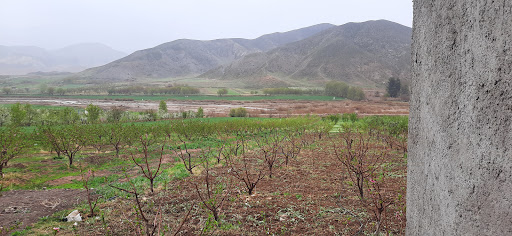 خانه باغ ییلاقی امیر حیدری