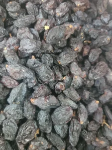 پخش خشکبار عرش 2