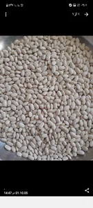 حبوباتی دناکو ۰۹۱۶۰۳۴۰۵۸۲ 3
