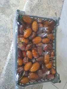 خرما رطب باغچه سلامت 5