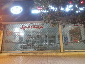 نمایشگاه اتومبیل فرهنگ 4