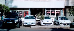 ا🚗نخل طلایی