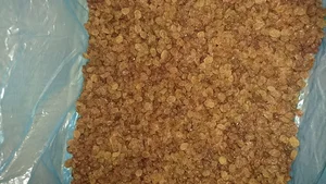 شرکت تعاونی صداقت تاکستان