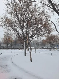 بوستان فدک 3