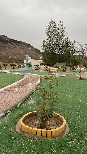 حديقة