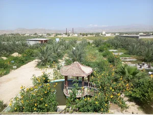 خشت باغ اطلسی