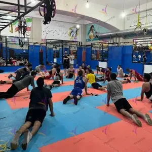 خانه بوکس کنگاور