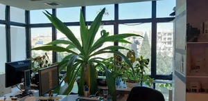 گروه معماری حجم سبز - Green Volume Group