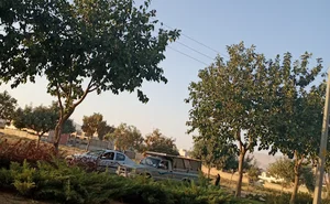 بوستان حاشیه ای شهدای دشت چنار