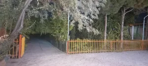 تالار سعید (باغ بهشتی) 3