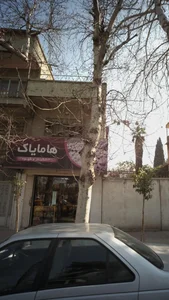 خشکبار و قهوه هامایاک 2