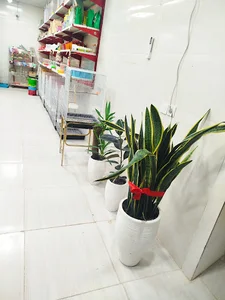 پرنده سرای هدهد