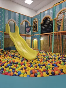 خانه بازی مینیون 2