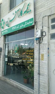بیمه کارآفرین