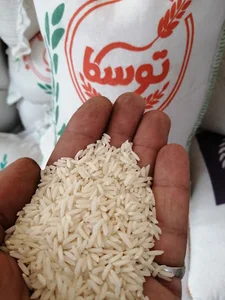 برنج شمال