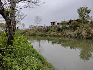 پارک ملت