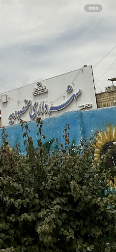 بیمه ایران
