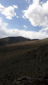 سیفیدغو ورس