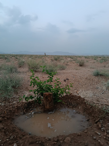 قنات خیر آباد (روستای حسن آباد)