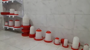 داروخانه دامپزشکی دکتر امیری