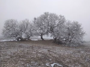 مقبره حضرت نوح
