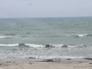 سوپرمارکت شهرما