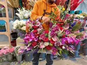 گل رکس