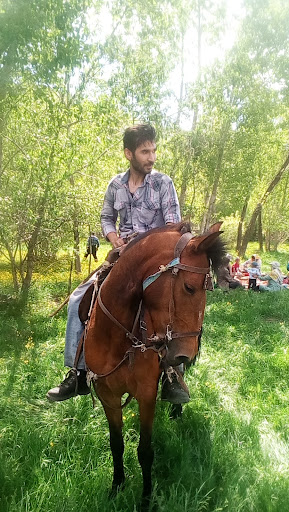 پارک مرخونی