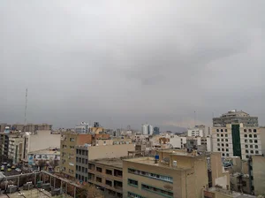 منظوم