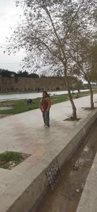 بوستان 2