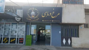 مرغ و ماهی فروشی جوجه طلایی