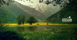 مرکز سلامت شهدای بسیج