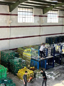 شرکت راهبرا سبز آنوش «اسپینو»