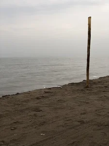 ساحل تفریحی