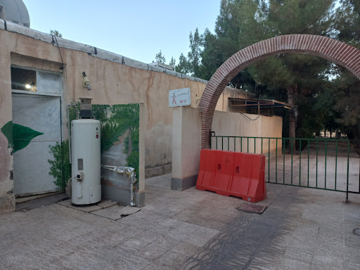 سرویس بهداشتی