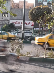 داروخانه شکوفه 2