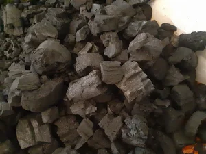زغال خودسوز چوبینه (جنگلی)