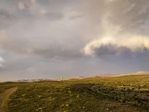 سیمان ساروج